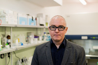 dr hab. Arkadiusz Piotrowski, prof. nadzw.