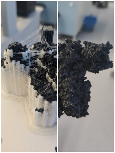 A realistic model of the GABA receptor based on the structure of the proteins that make it up. On the left side you can see support structures removed after the 3D printing process. On the right, a finished model.